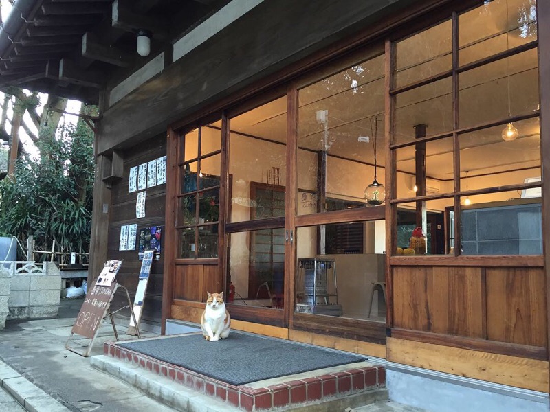 f:id:kaotandoll:20190224223607j:plain