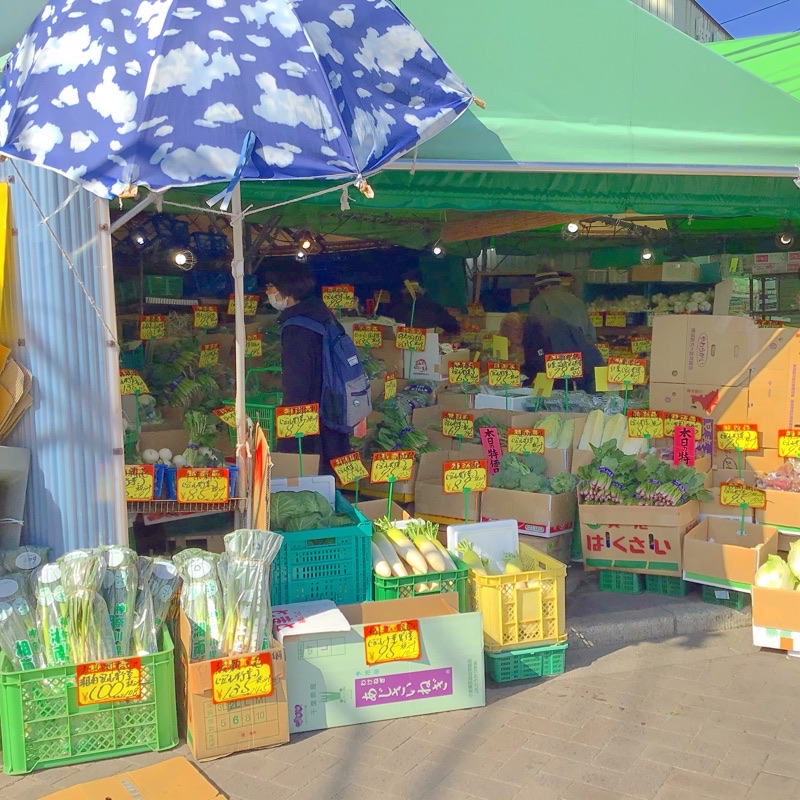 f:id:kaotandoll:20200208214107j:plain