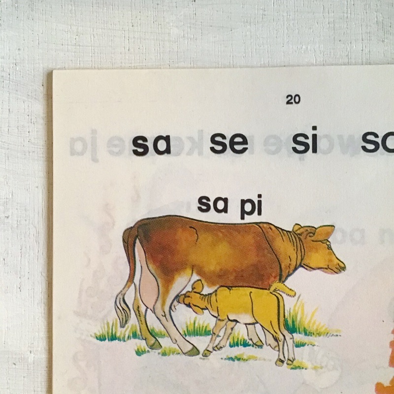 f:id:kaotandoll:20200224121321j:plain