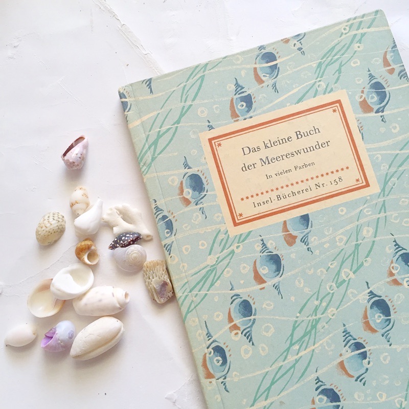 f:id:kaotandoll:20200518112958j:plain