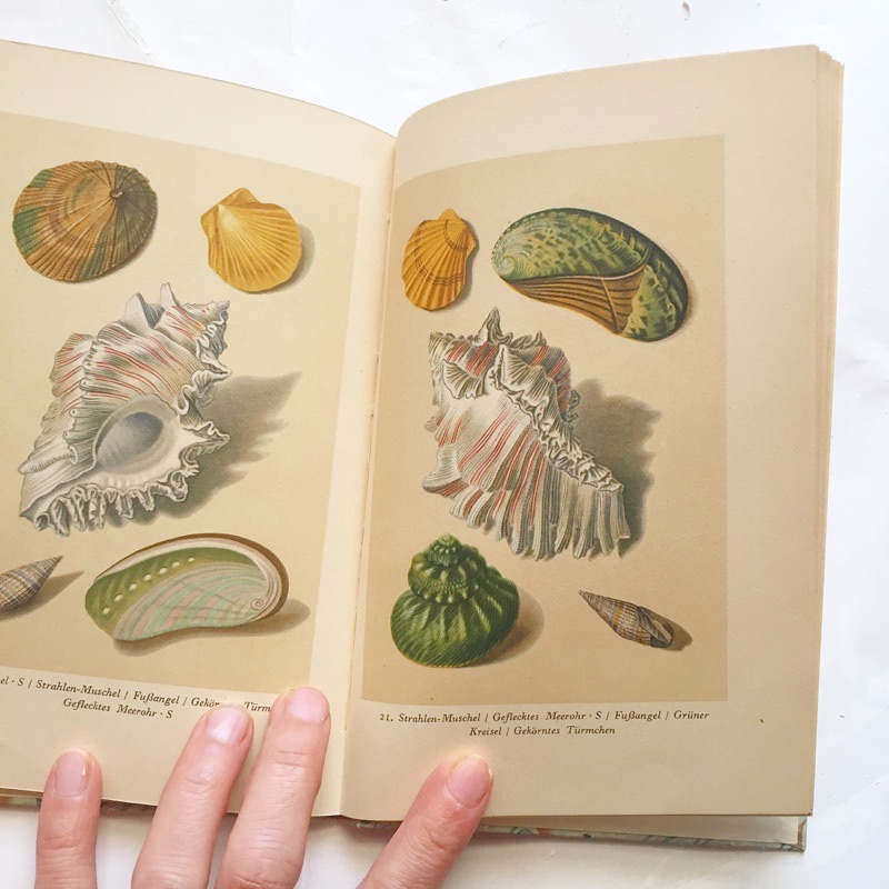 f:id:kaotandoll:20200518113029j:plain