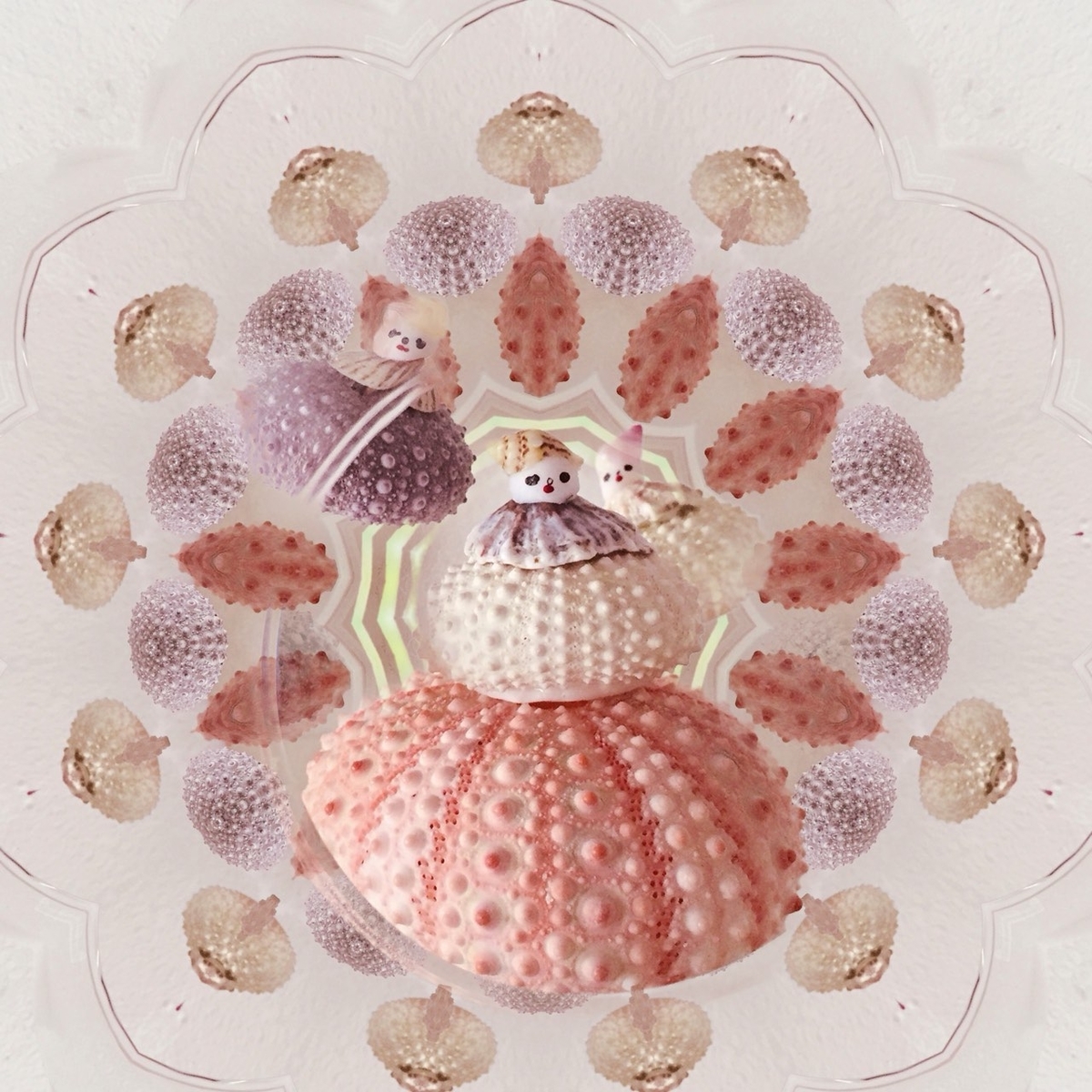 f:id:kaotandoll:20210128140147j:plain