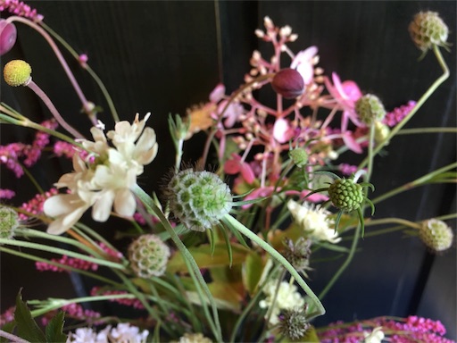 f:id:kapibara5168:20170915153651j:image