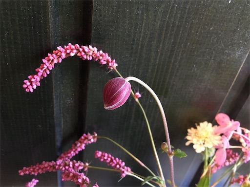 f:id:kapibara5168:20170915153711j:image