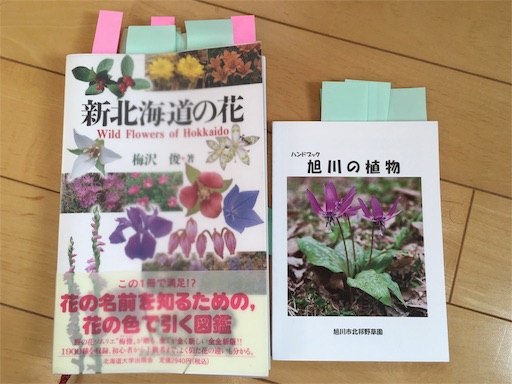 f:id:kapibara5168:20171023013234j:image