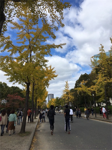 f:id:kapibara5168:20171122113006j:plain f:id:kapibara5168:20171122113006j:plain