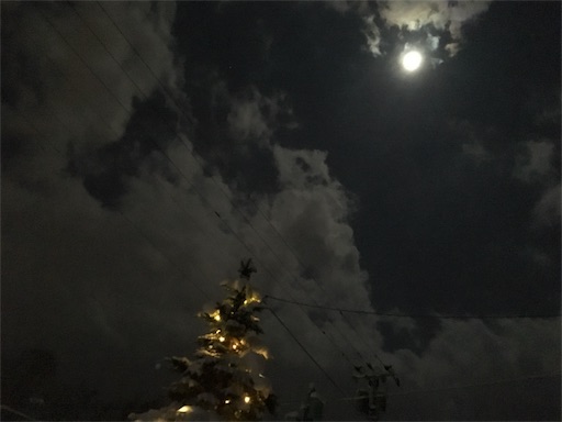 f:id:kapibara5168:20171204123419j:plain f:id:kapibara5168:20171204123419j:plain