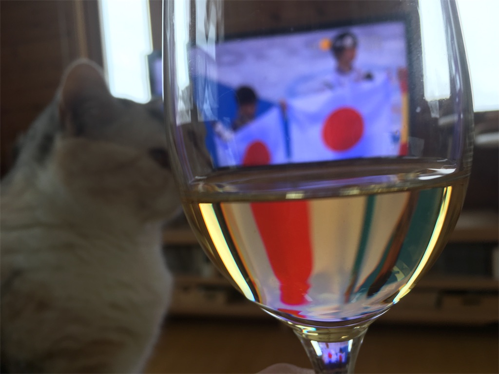 f:id:kapibara5168:20180217155912j:image f:id:kapibara5168:20180217155912j:image