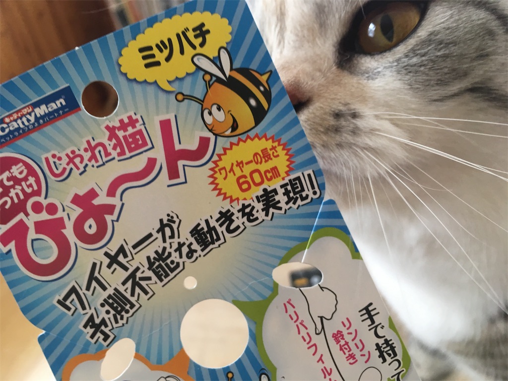 f:id:kapibara5168:20180217162810j:image f:id:kapibara5168:20180217162810j:image