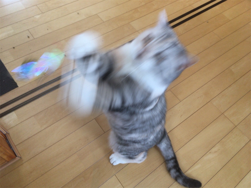 f:id:kapibara5168:20180217165305j:plain f:id:kapibara5168:20180217165305j:plain