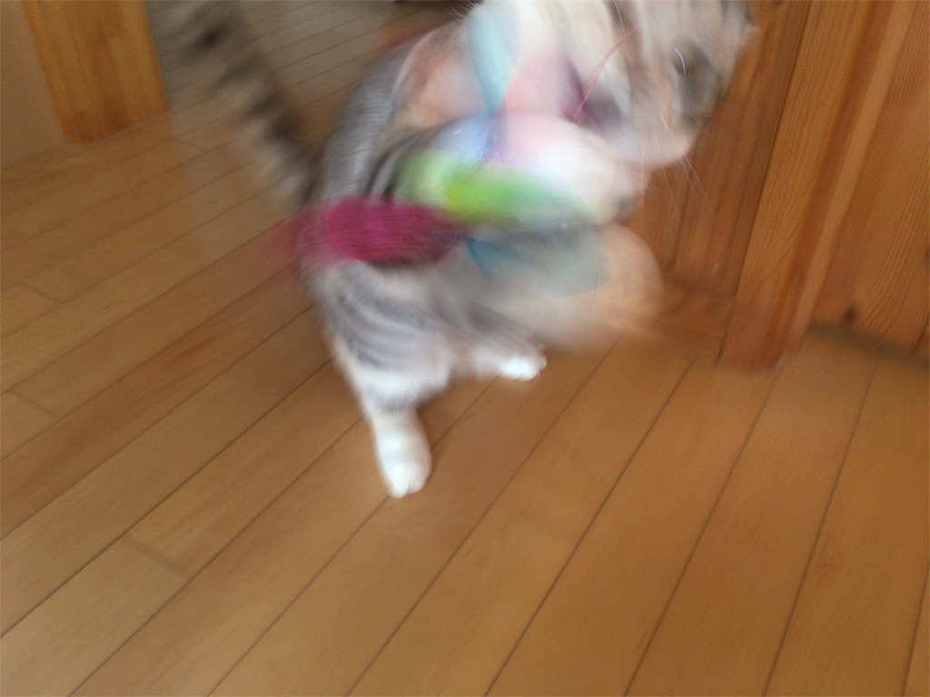 f:id:kapibara5168:20180316162750j:plain f:id:kapibara5168:20180316162750j:plain