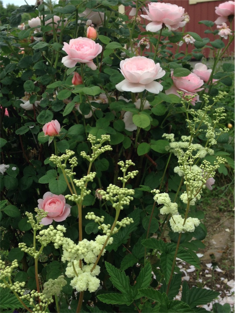 f:id:kapibara5168:20180330185817j:plain f:id:kapibara5168:20180330185817j:plain