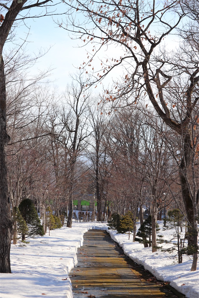 f:id:kapibara5168:20180331095215j:image f:id:kapibara5168:20180331095215j:image