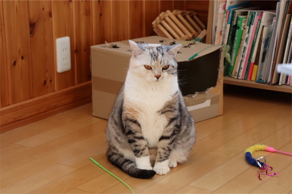 f:id:kapibara5168:20180410184533j:image f:id:kapibara5168:20180410184533j:image