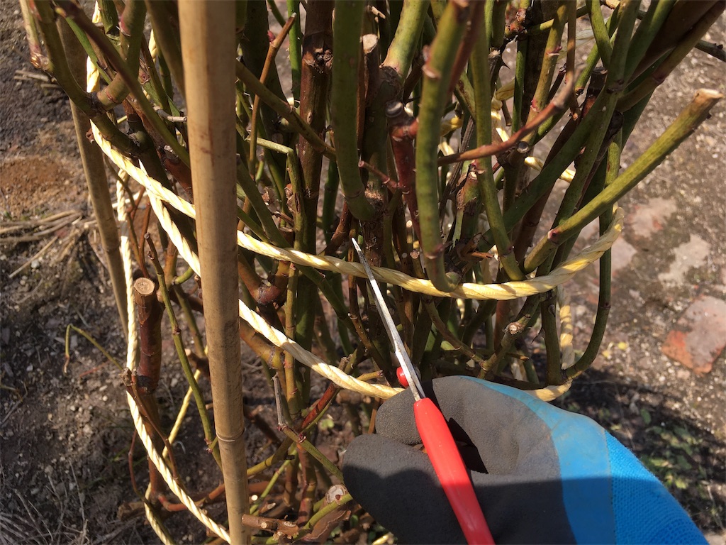 f:id:kapibara5168:20180422094140j:image f:id:kapibara5168:20180422094140j:image