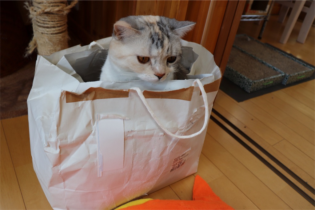 f:id:kapibara5168:20180422102135j:image f:id:kapibara5168:20180422102135j:image