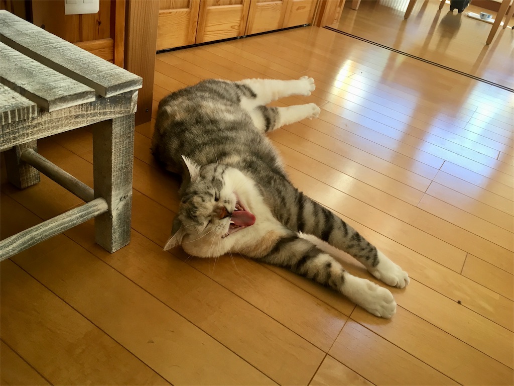 f:id:kapibara5168:20180530174305j:plain f:id:kapibara5168:20180530174305j:plain