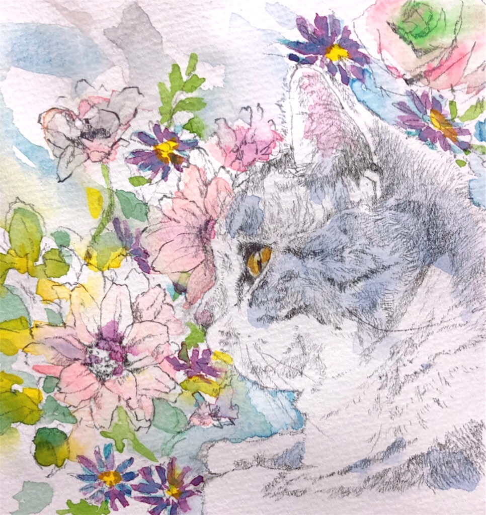 f:id:kapibara5168:20180620170359j:plain f:id:kapibara5168:20180620170359j:plain