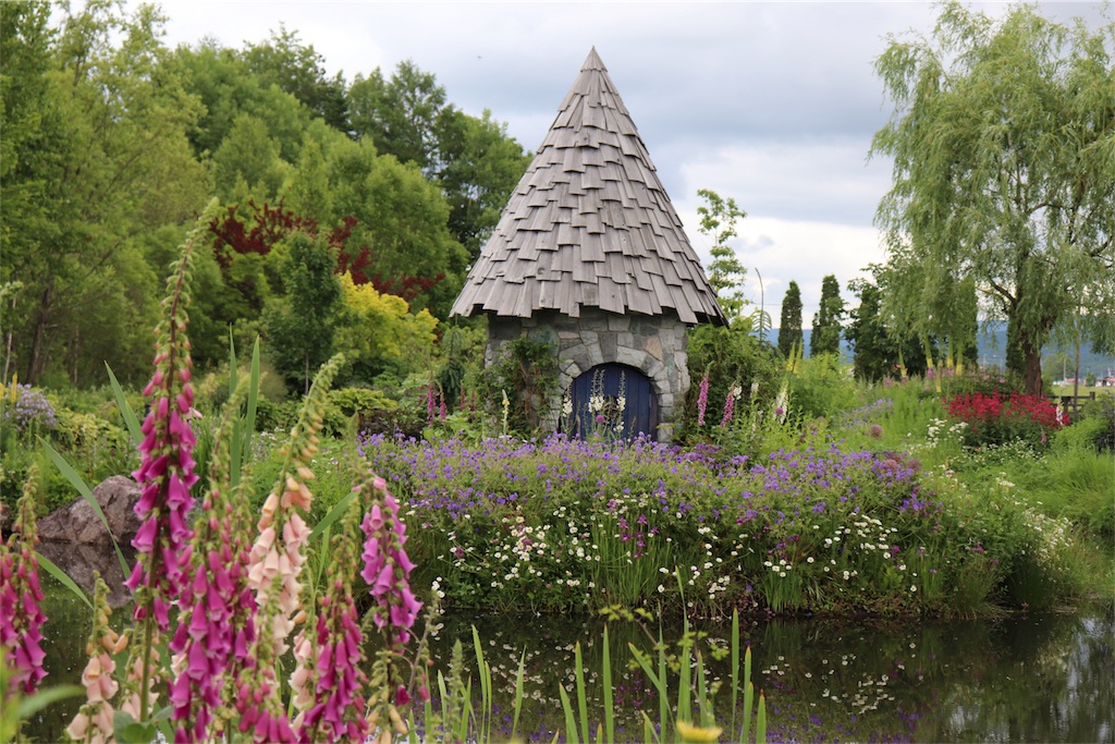 f:id:kapibara5168:20180626155826j:image f:id:kapibara5168:20180626155826j:image