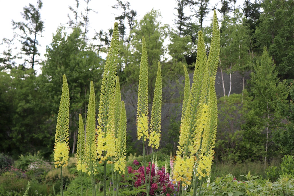 f:id:kapibara5168:20180626165945j:image f:id:kapibara5168:20180626165945j:image