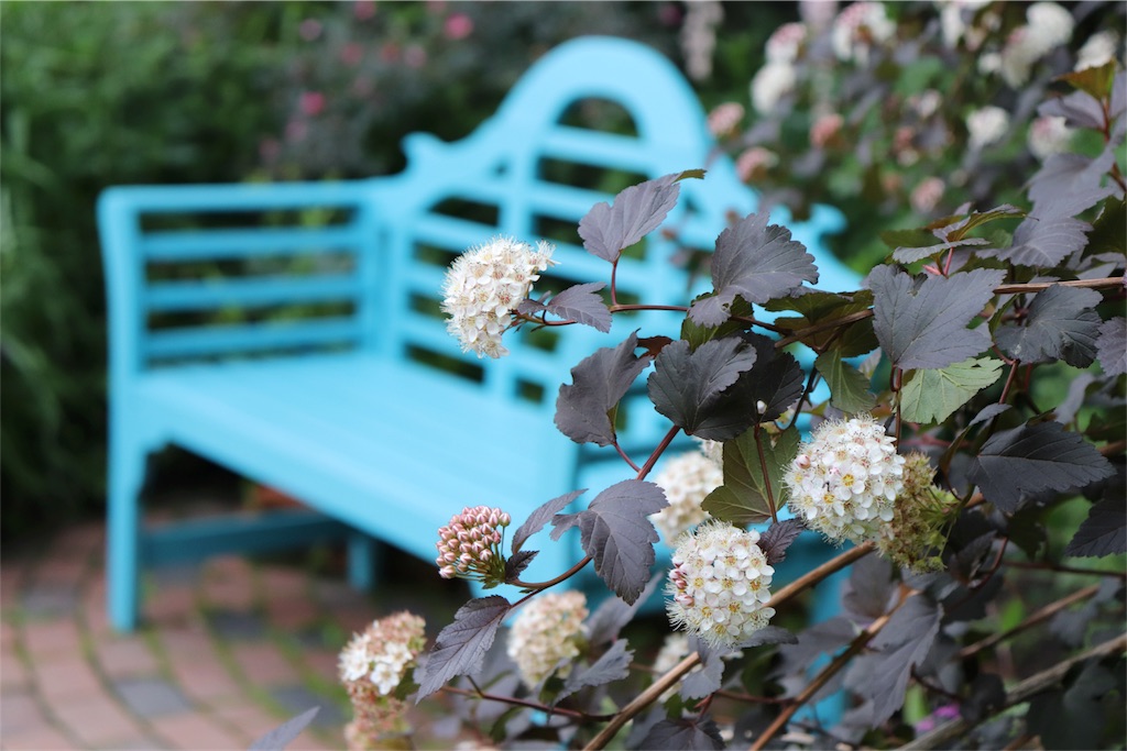 f:id:kapibara5168:20180626183217j:image f:id:kapibara5168:20180626183217j:image