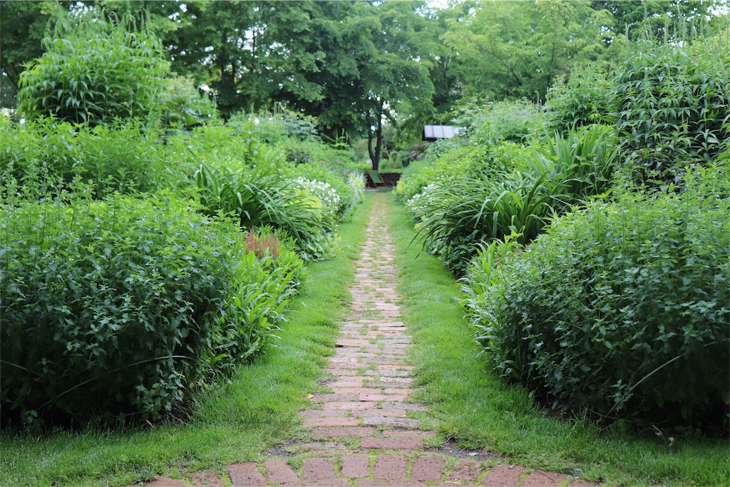 f:id:kapibara5168:20180626201433j:image f:id:kapibara5168:20180626201433j:image