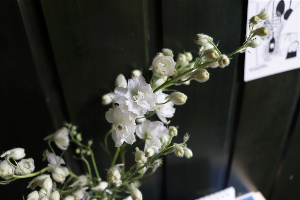 f:id:kapibara5168:20180724162027j:plain f:id:kapibara5168:20180724162027j:plain