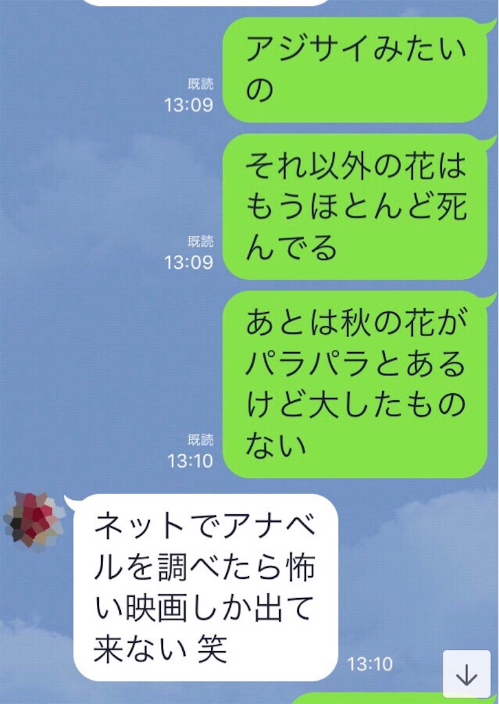 f:id:kapibara5168:20181028170747j:image f:id:kapibara5168:20181028170747j:image
