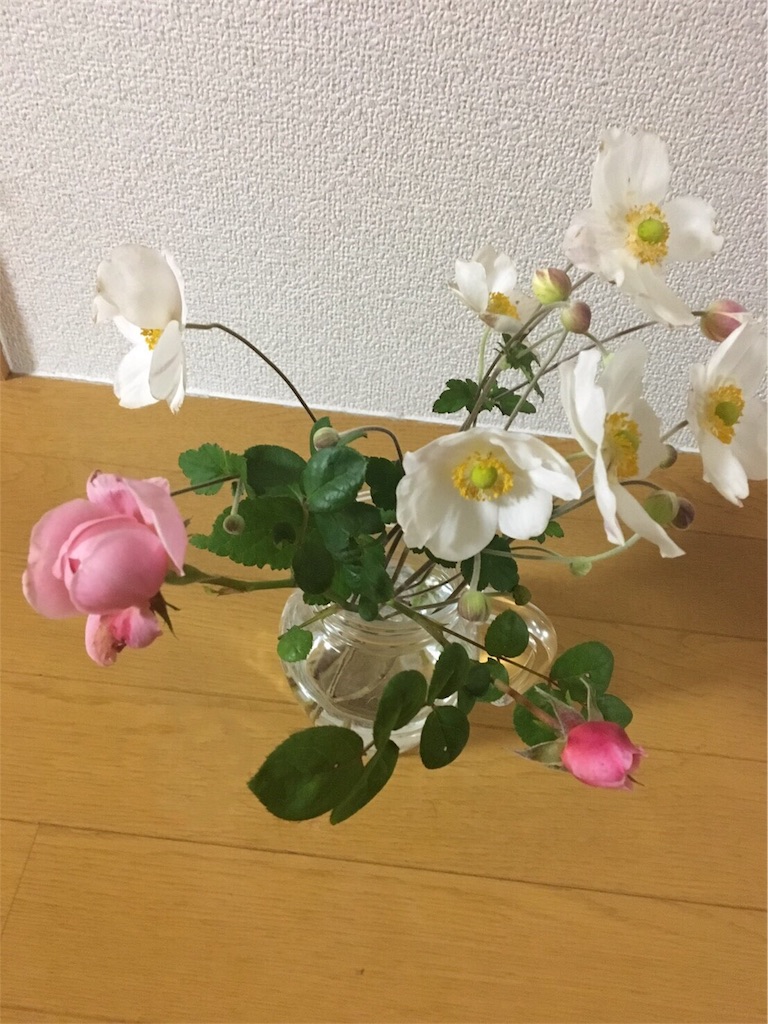 f:id:kapibara5168:20181028181914j:image f:id:kapibara5168:20181028181914j:image