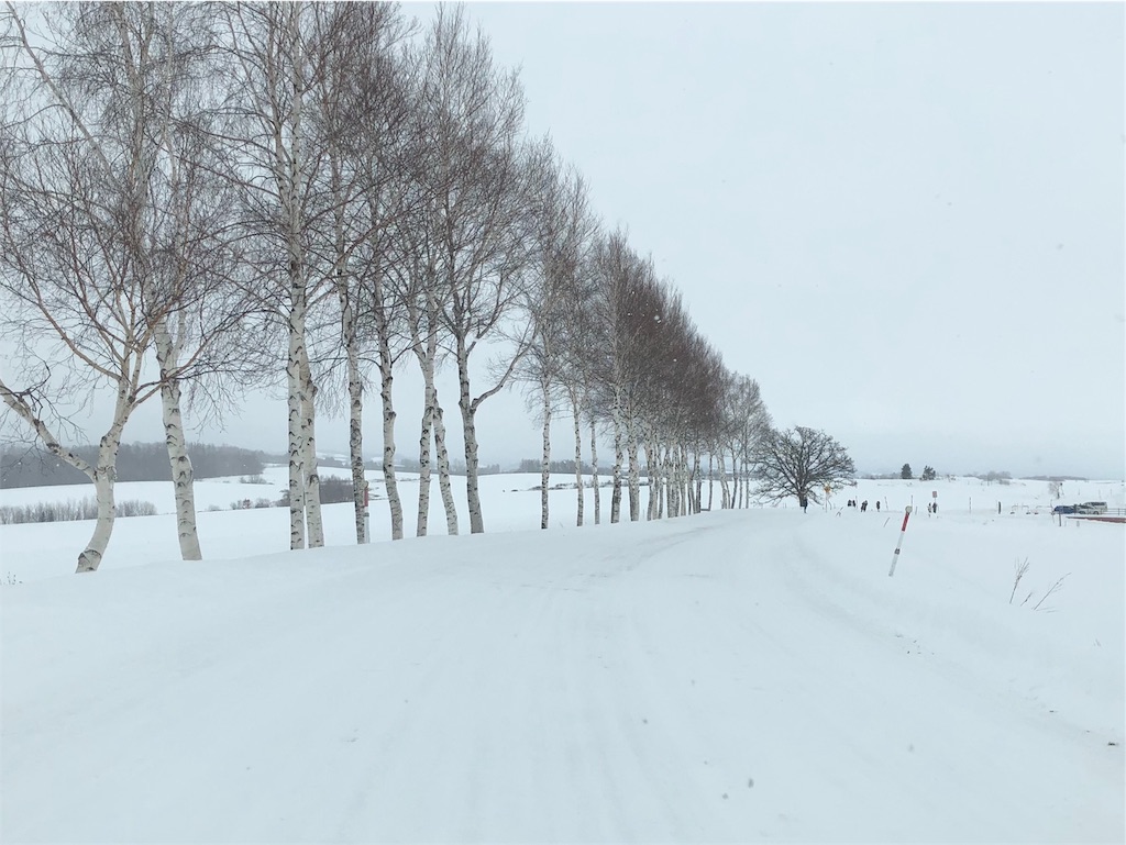 f:id:kapibara5168:20190112184730j:image f:id:kapibara5168:20190112184730j:image