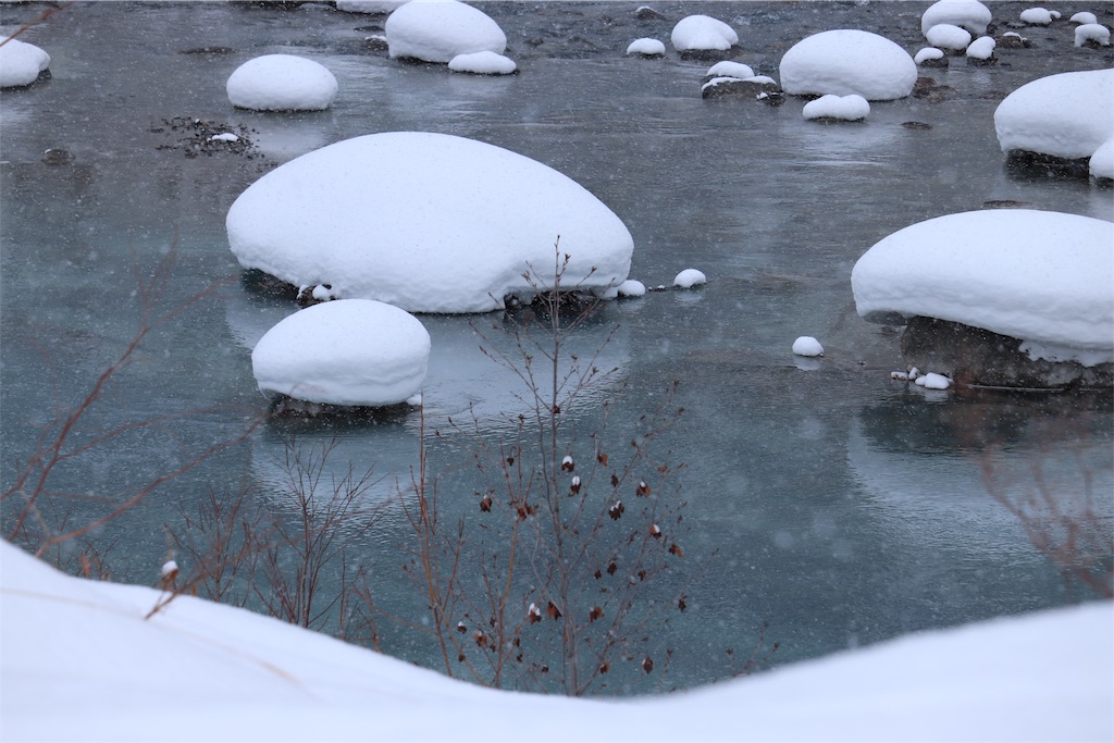 f:id:kapibara5168:20190113151049j:image f:id:kapibara5168:20190113151049j:image