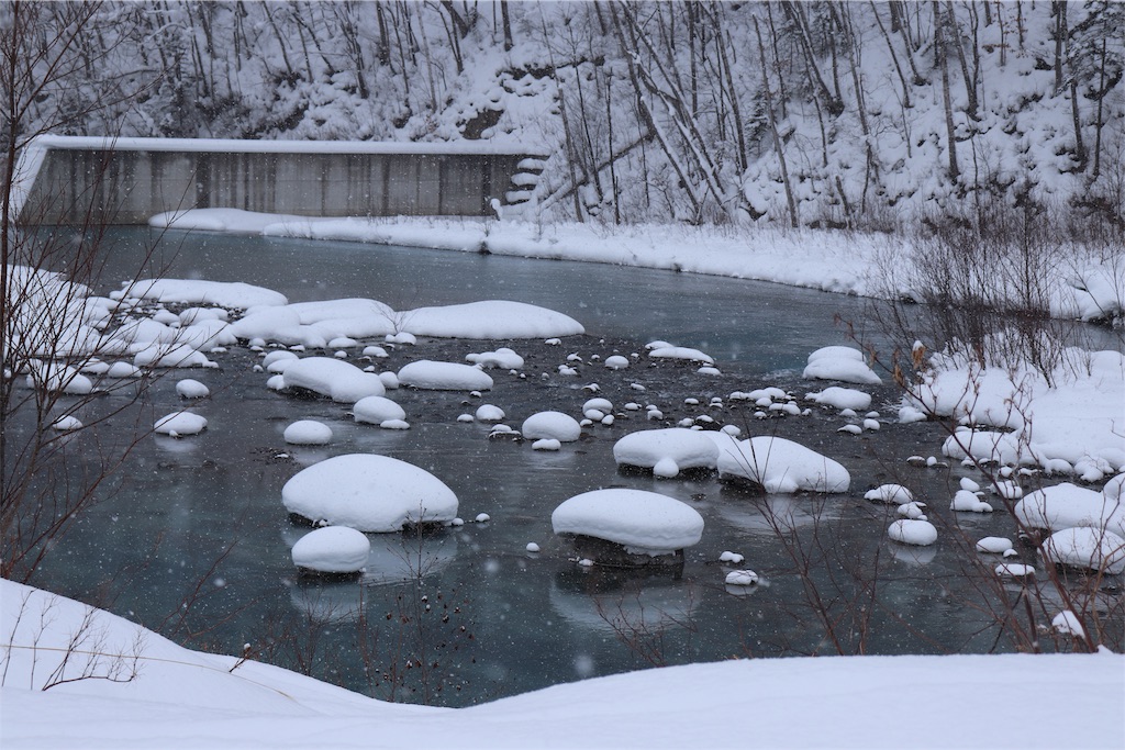 f:id:kapibara5168:20190113151053j:image f:id:kapibara5168:20190113151053j:image