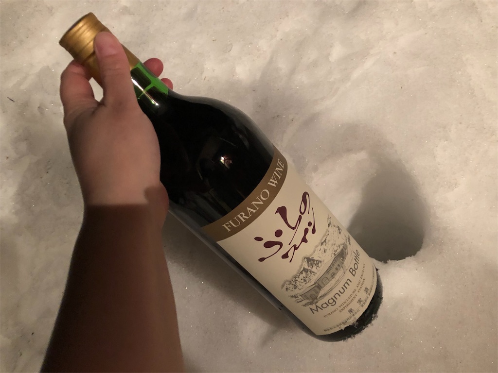 f:id:kapibara5168:20190316172523j:image f:id:kapibara5168:20190316172523j:image