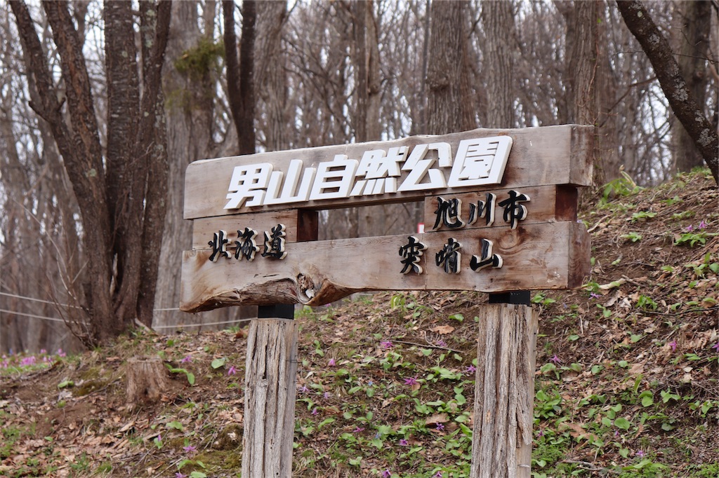 f:id:kapibara5168:20190428133359j:image f:id:kapibara5168:20190428133359j:image
