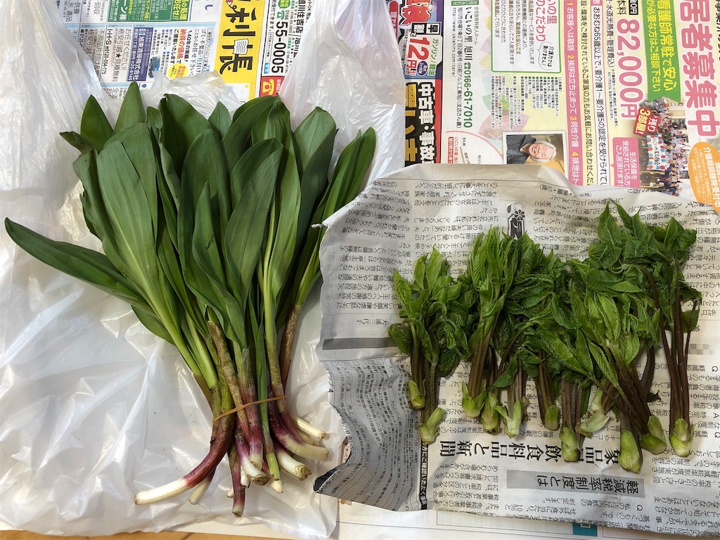 f:id:kapibara5168:20190521195707j:image f:id:kapibara5168:20190521195707j:image