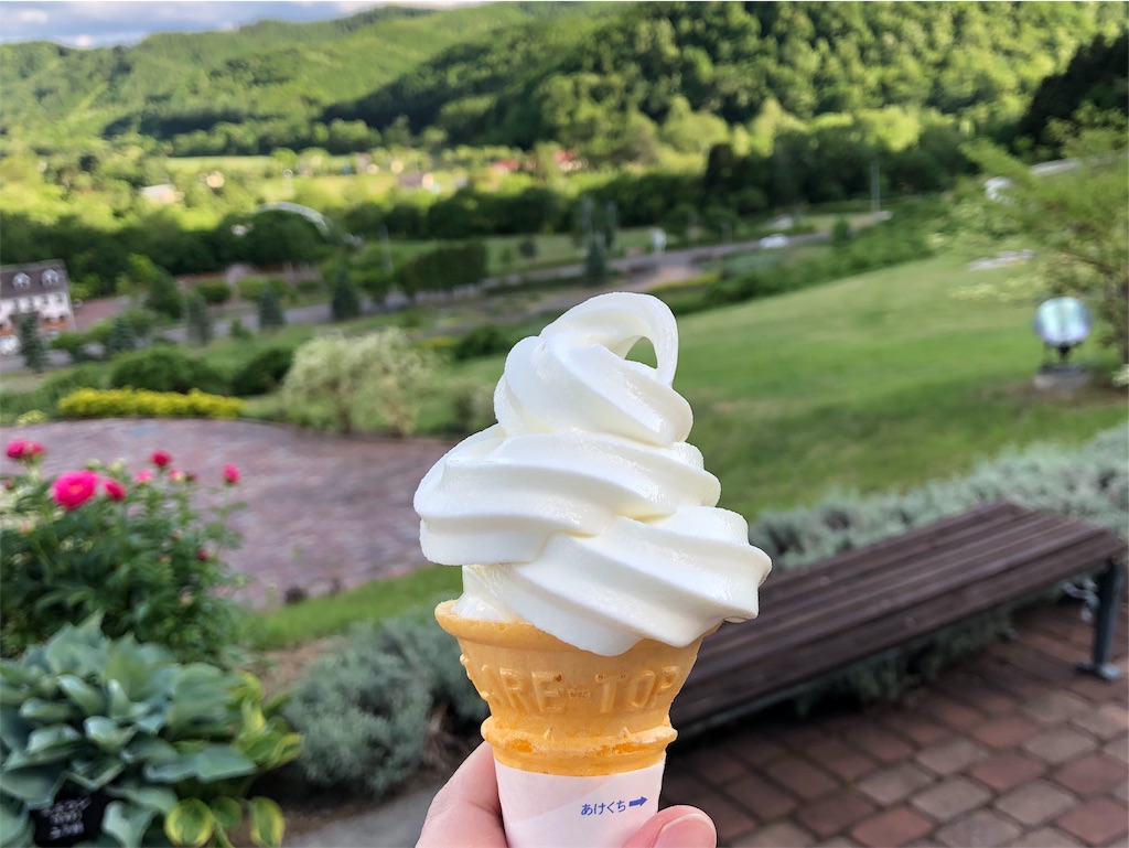 f:id:kapibara5168:20190610183548j:image f:id:kapibara5168:20190610183548j:image