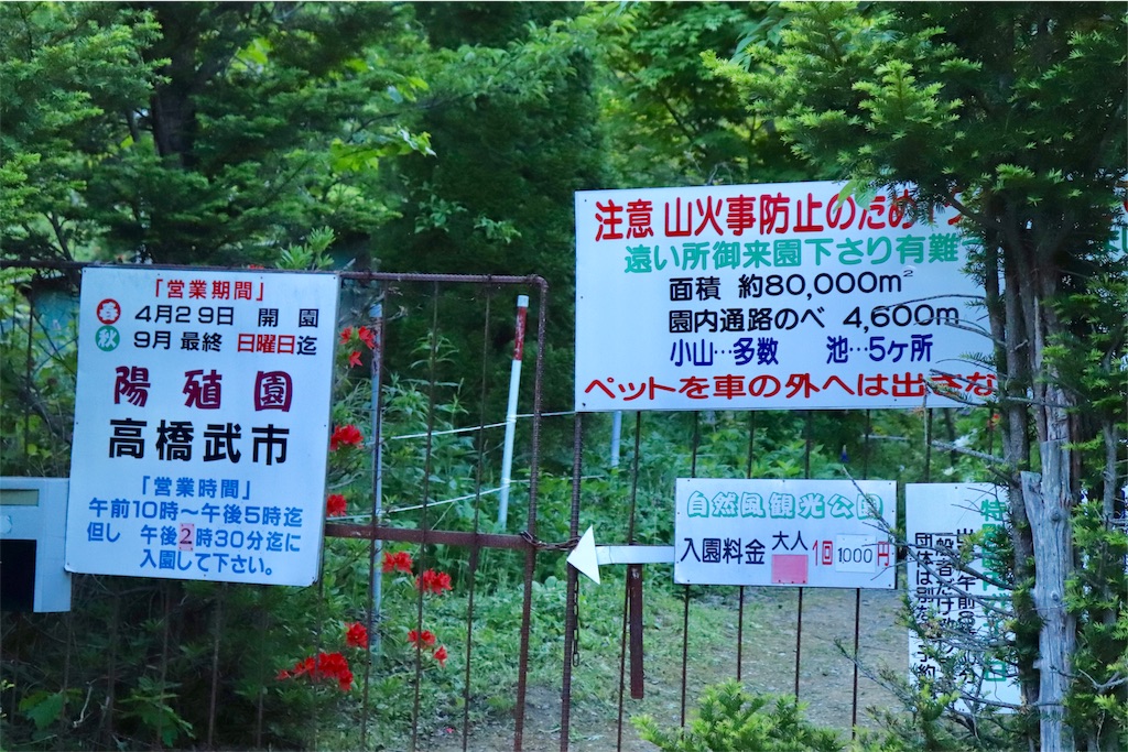 f:id:kapibara5168:20190610195226j:image f:id:kapibara5168:20190610195226j:image