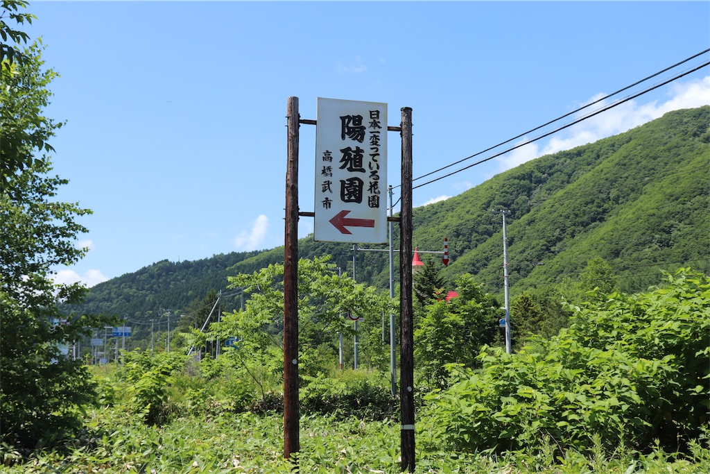 f:id:kapibara5168:20190709112253j:image f:id:kapibara5168:20190709112253j:image