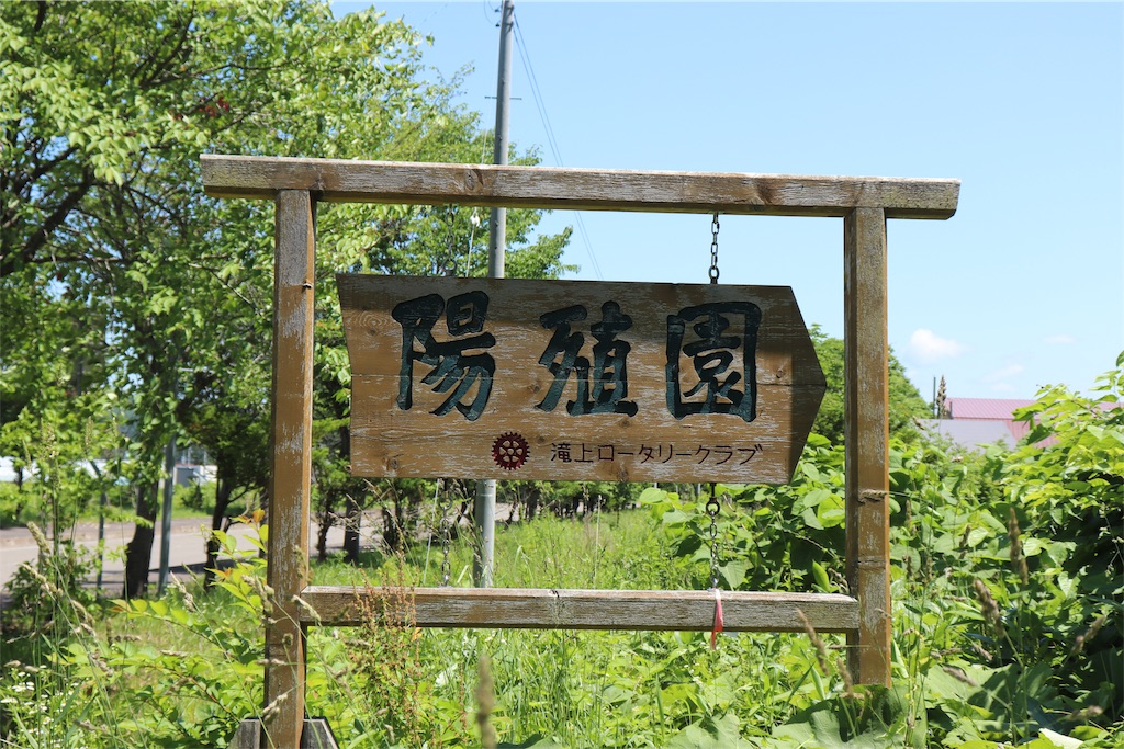 f:id:kapibara5168:20190710144706j:image f:id:kapibara5168:20190710144706j:image