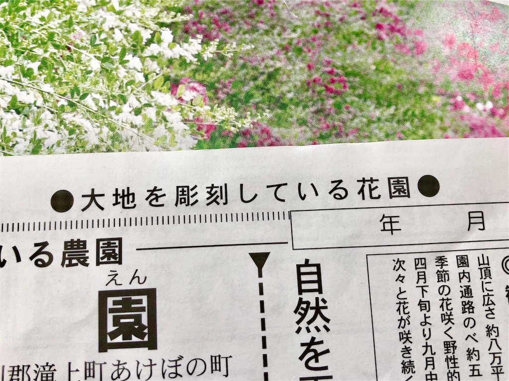 f:id:kapibara5168:20190717114450j:image f:id:kapibara5168:20190717114450j:image