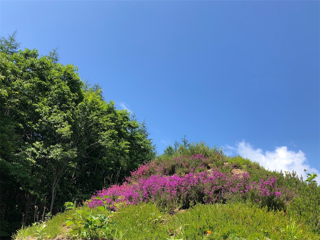 f:id:kapibara5168:20190717121501j:image f:id:kapibara5168:20190717121501j:image