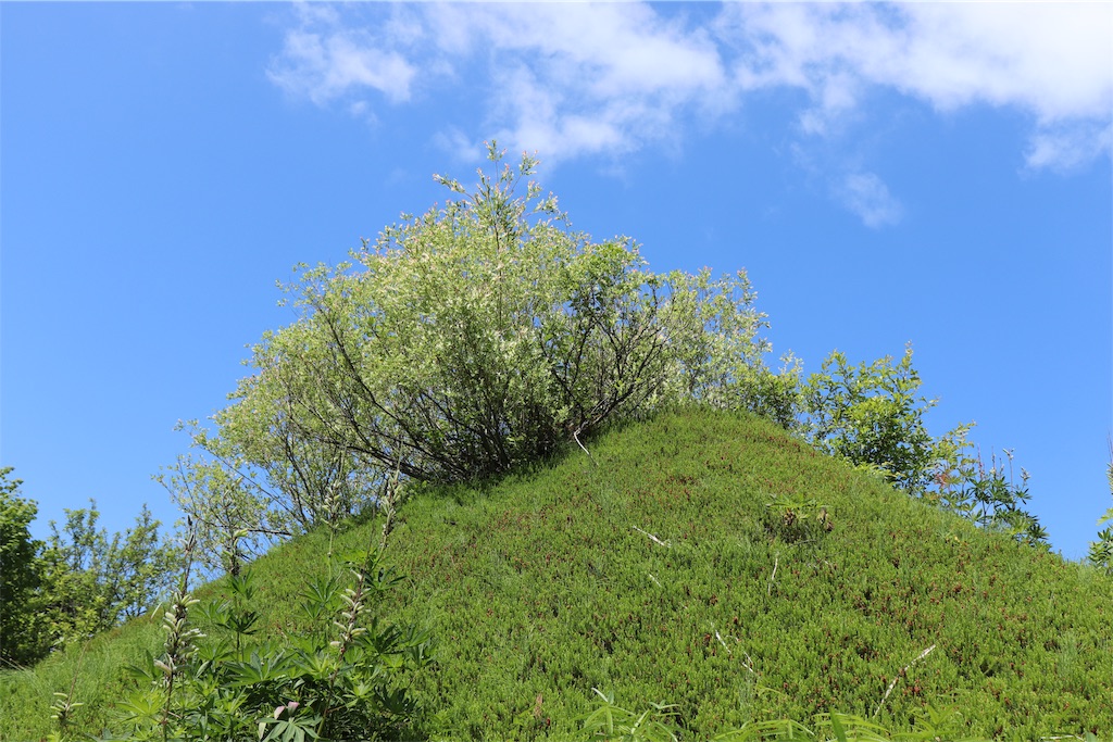 f:id:kapibara5168:20190717121505j:image f:id:kapibara5168:20190717121505j:image