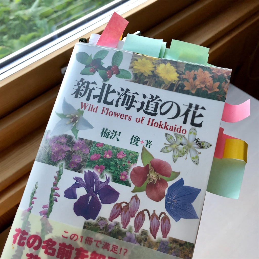 f:id:kapibara5168:20190717190106j:image f:id:kapibara5168:20190717190106j:image