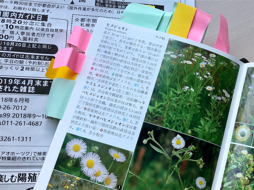 f:id:kapibara5168:20190717190911j:image f:id:kapibara5168:20190717190911j:image