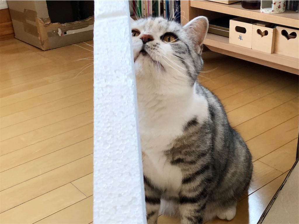 f:id:kapibara5168:20200116155949j:image f:id:kapibara5168:20200116155949j:image