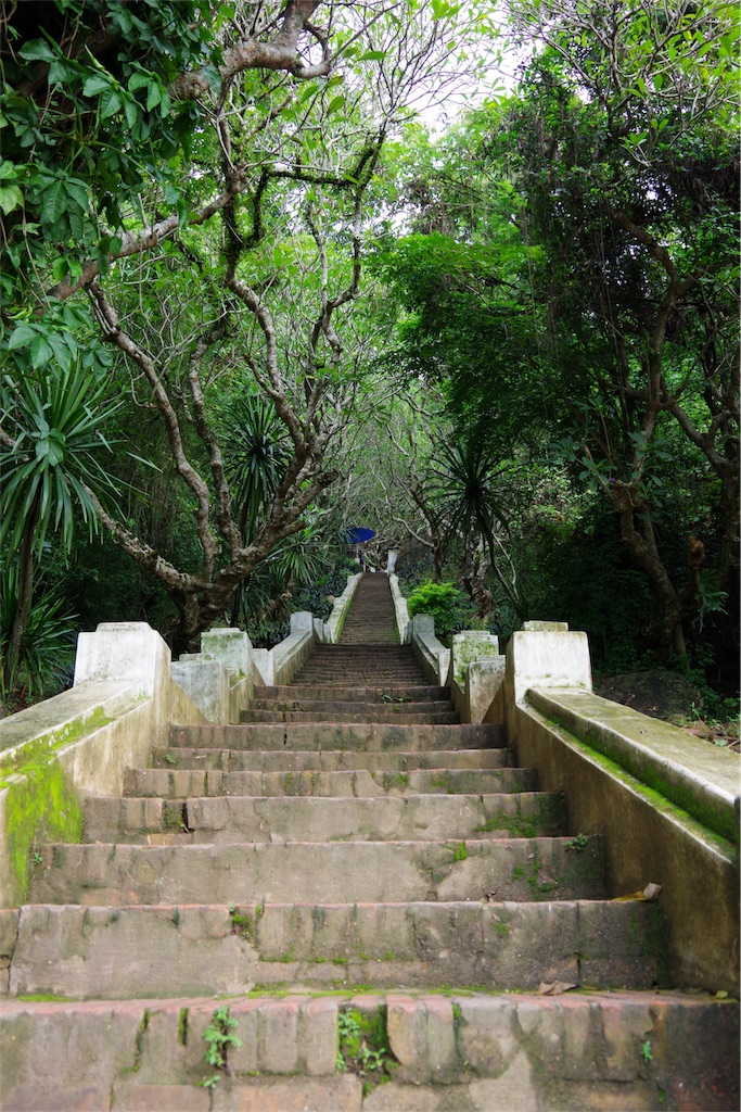 f:id:kapibaramitti:20180807084014j:image f:id:kapibaramitti:20180807084014j:image