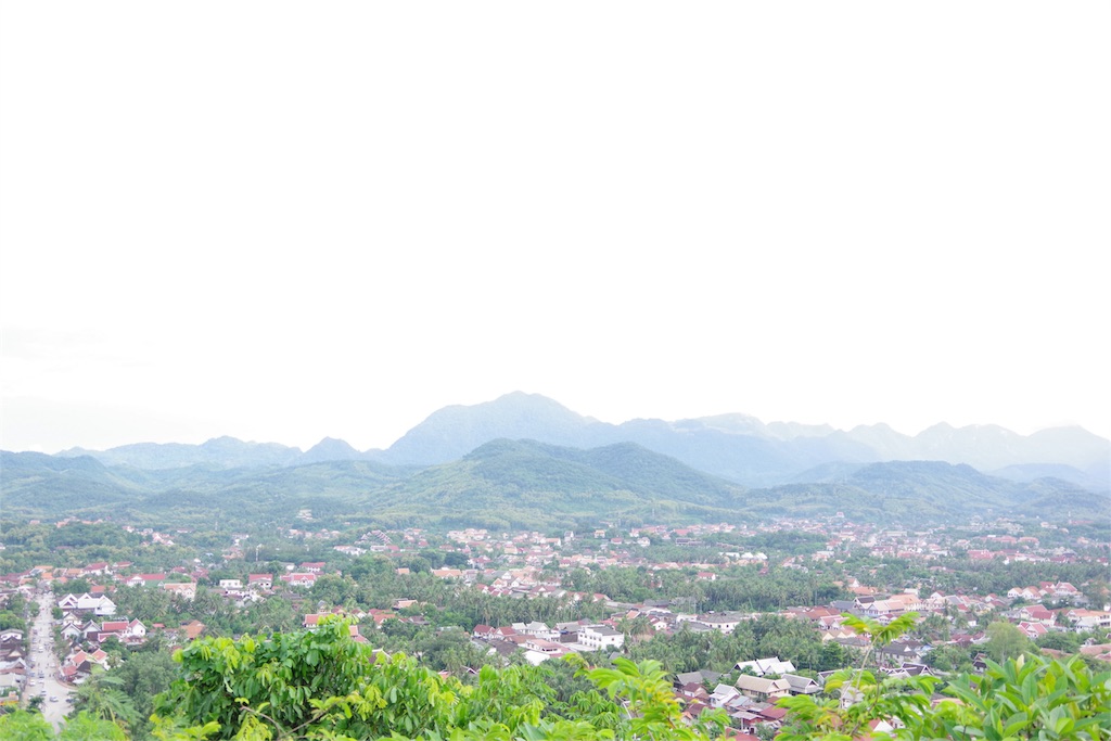 f:id:kapibaramitti:20180807084346j:image f:id:kapibaramitti:20180807084346j:image