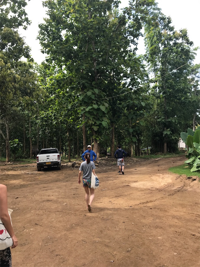 f:id:kapibaramitti:20180808115207j:image f:id:kapibaramitti:20180808115207j:image