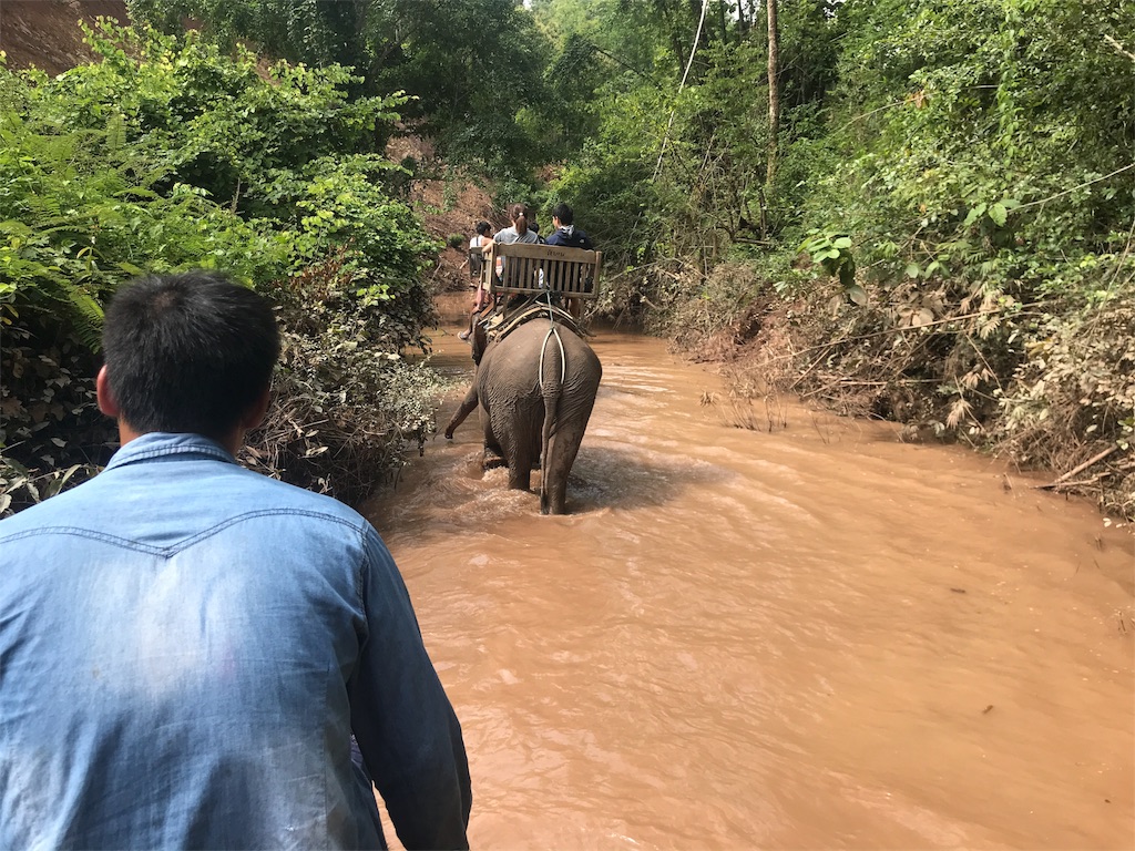 f:id:kapibaramitti:20180808115339j:image f:id:kapibaramitti:20180808115339j:image