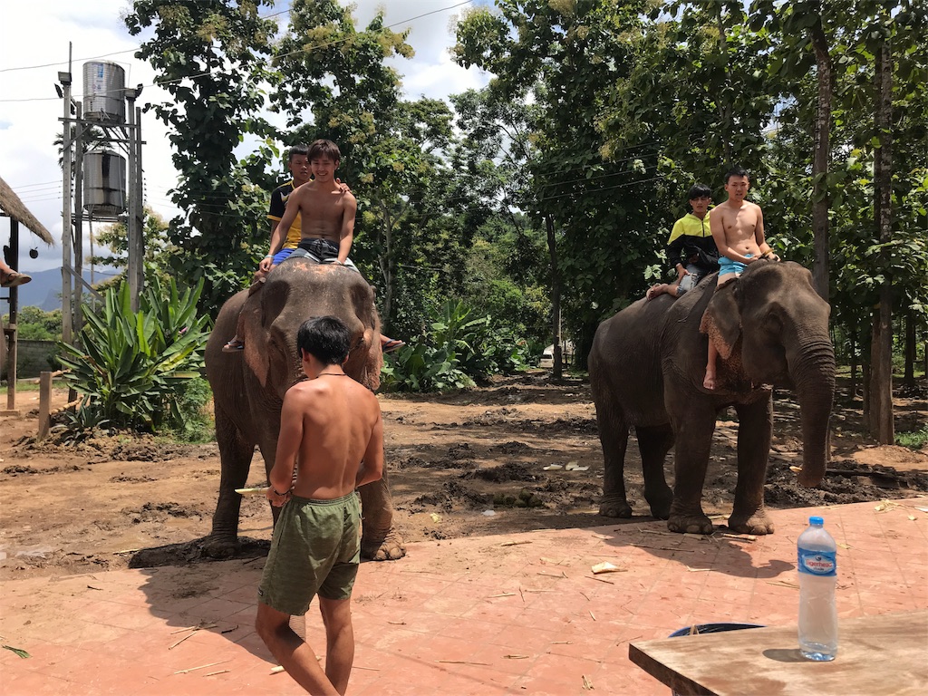 f:id:kapibaramitti:20180808115720j:image f:id:kapibaramitti:20180808115720j:image